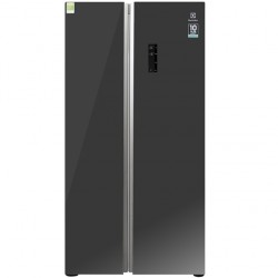 Tủ lạnh Electrolux ESE6201BG-VN